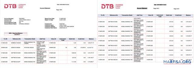 Downloadable Kenya Diamond Trust bank account statement word 2 pages real example